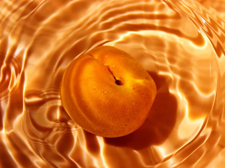 Abricot réhydratation